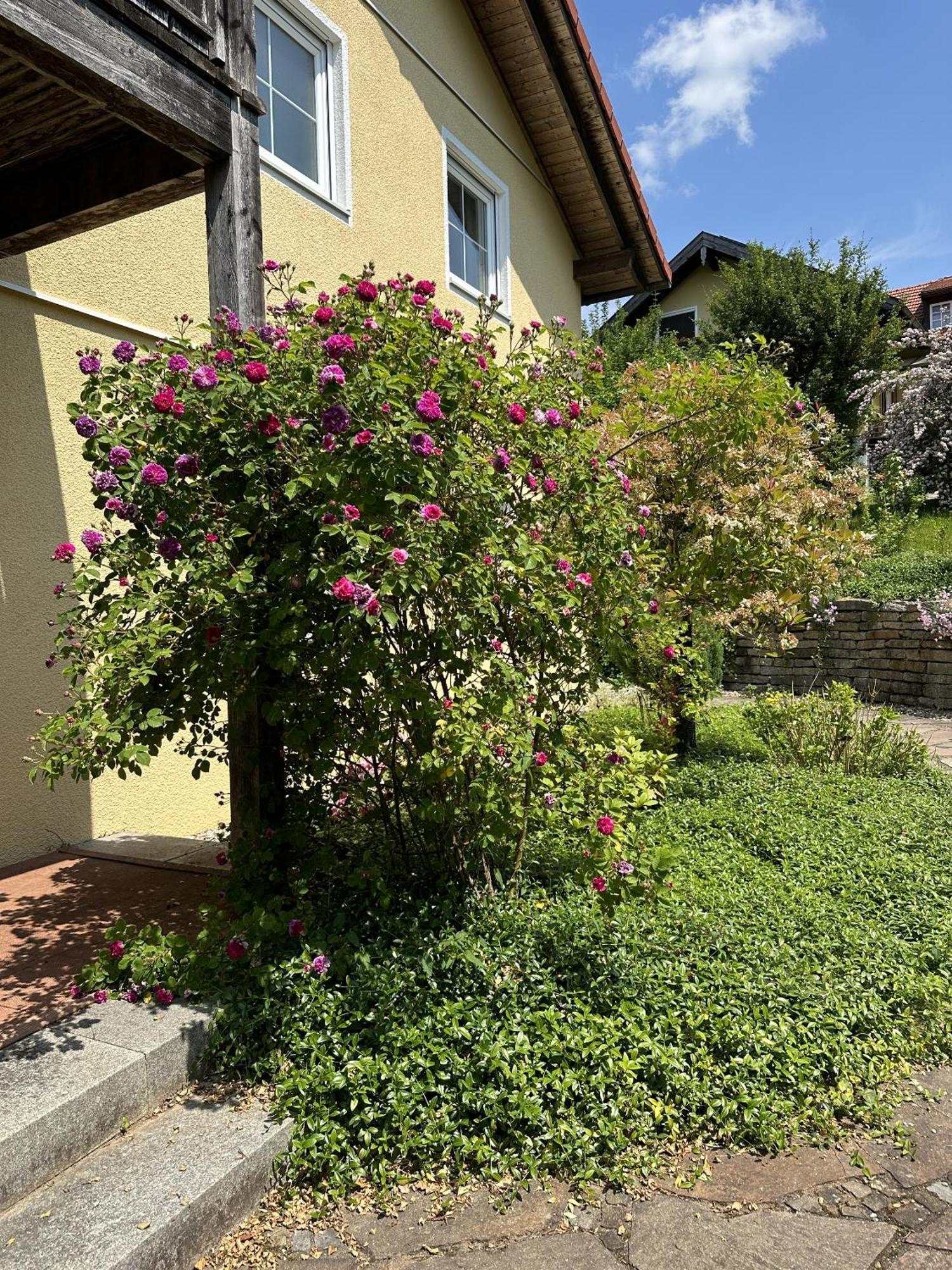 Meywohnen Bad Endorf Apartment Exterior photo